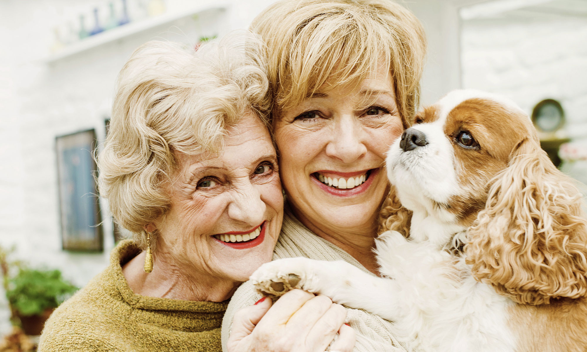 Senior same sex couple holding a spaniel and looking into the camera