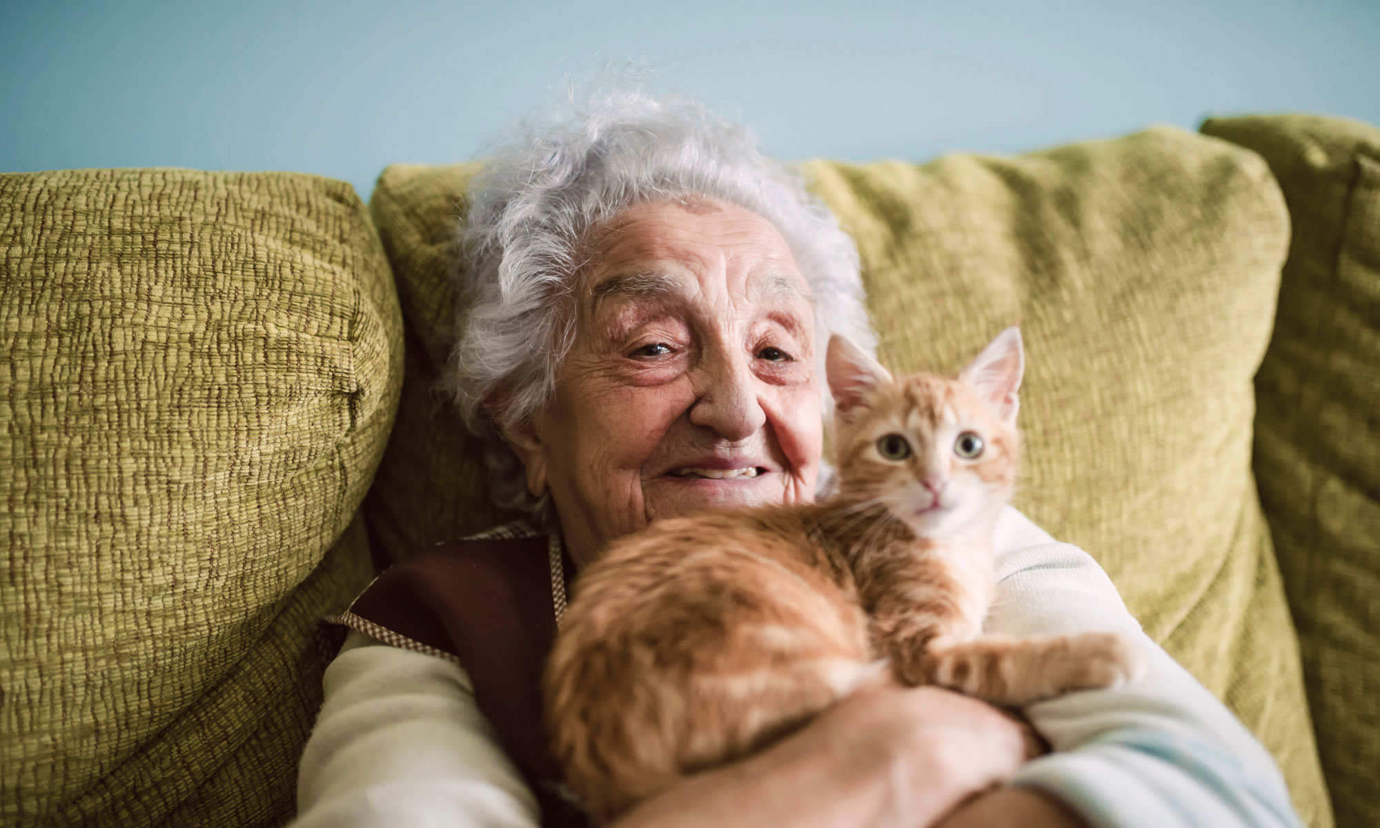 senior woman holding a kitten smiling