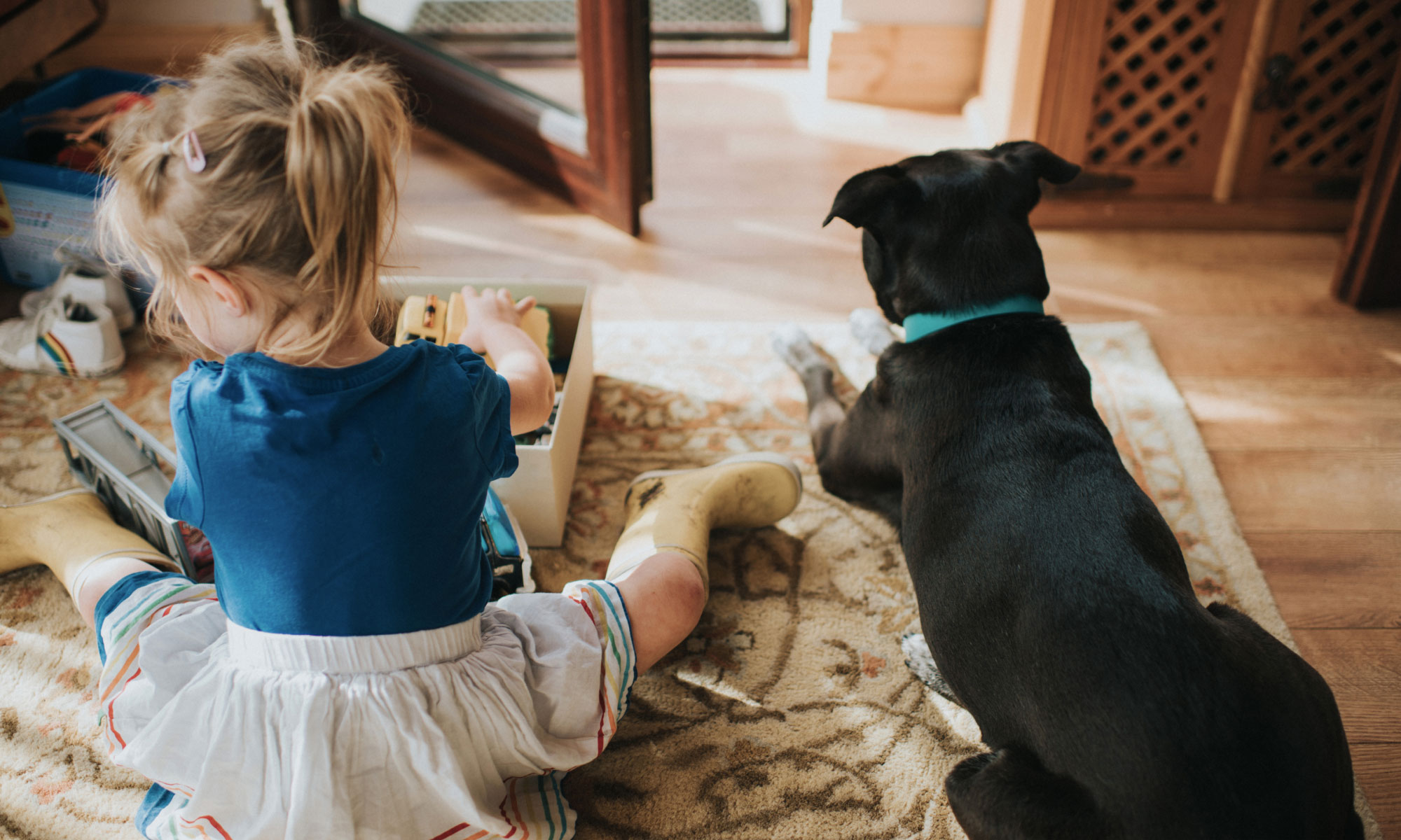 Little girl sitting on the floor next to her dog