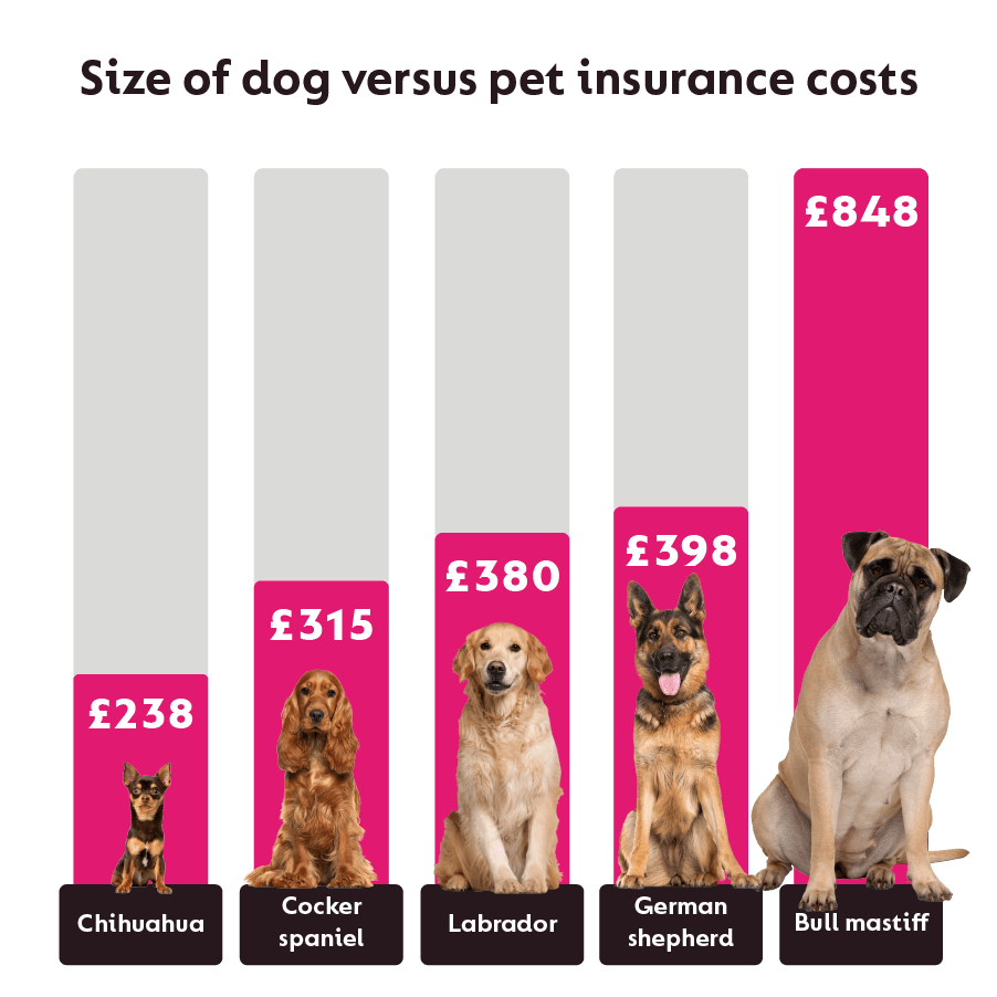 how much does dog health insurance cost