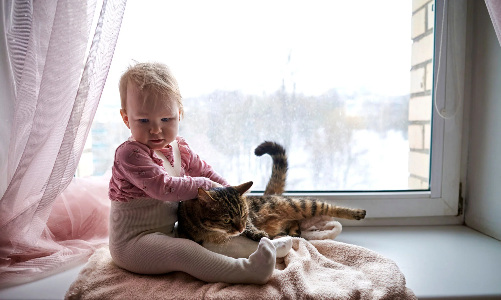 Cancelling pet insurance