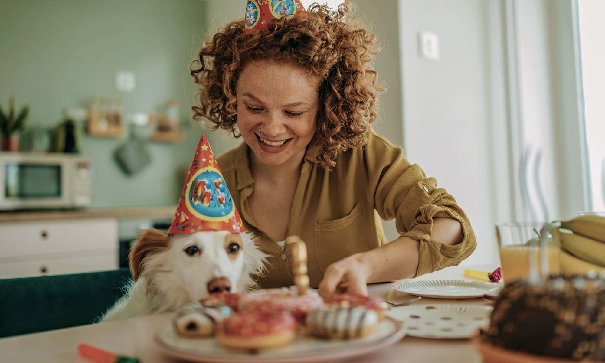 Adult woman laughing while wearing a party hat and guiding her dog to his birthday donuts